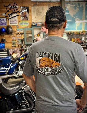 Camiseta Against the Wind - Harley-Davidson